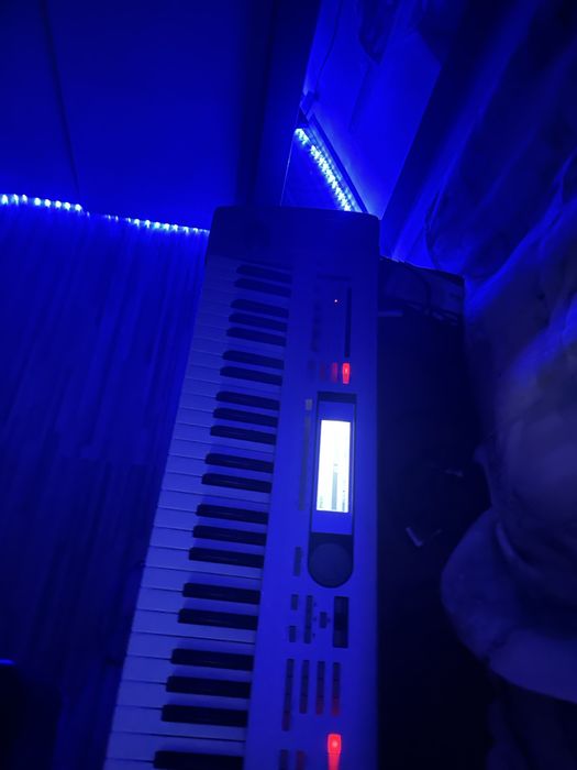Korg Triton lee stare perfecta pentru funtionare