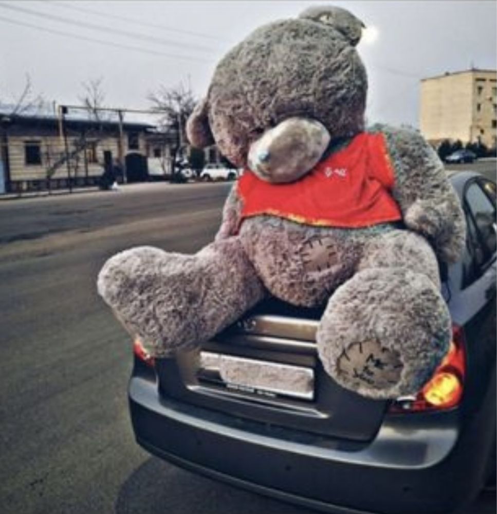 teddy va yumshoq oyinchoqlar