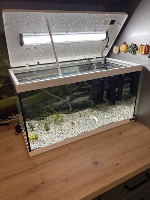 Vand Acvariu de 60 Litri Complect