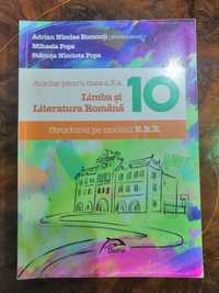 Culegere limba si literatura romana clasa a 10-a editura Delfin