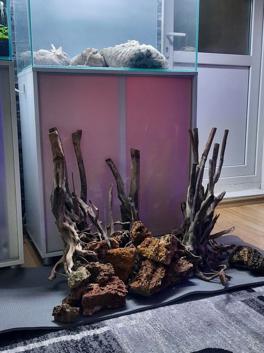 Vând ansamblu acvariu