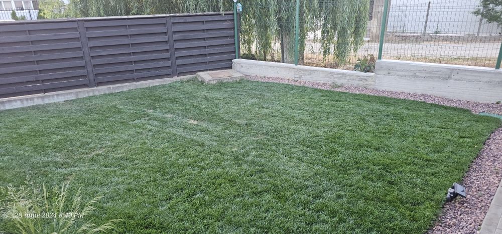 Gazon, Automatizare Sisteme de irigat, Scarificare, Mentenanță