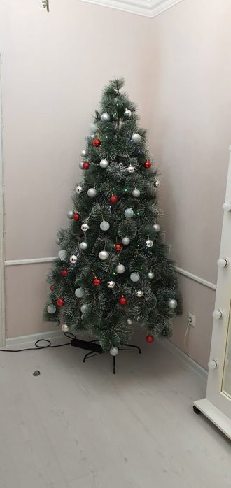 Ёлки Новогодние Ёлка Шырша!!