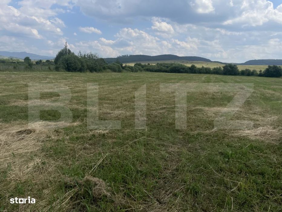 Teren extravilan 1200 mp – Dorolea, aproape de Manastire – Investi