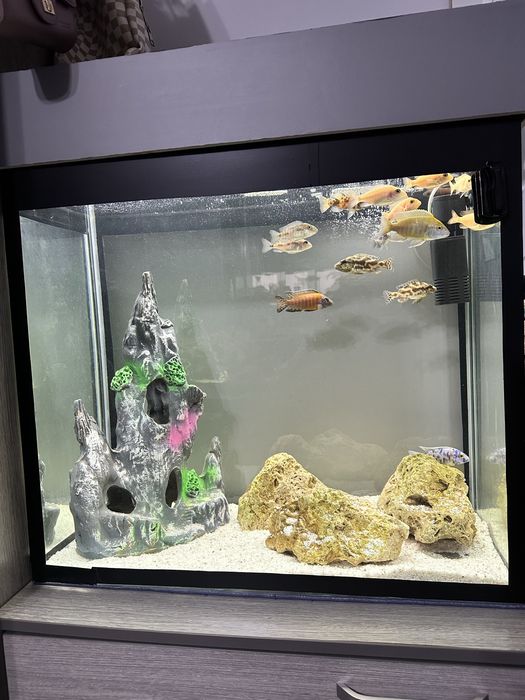 Аквариум 150 литров с крышкой .