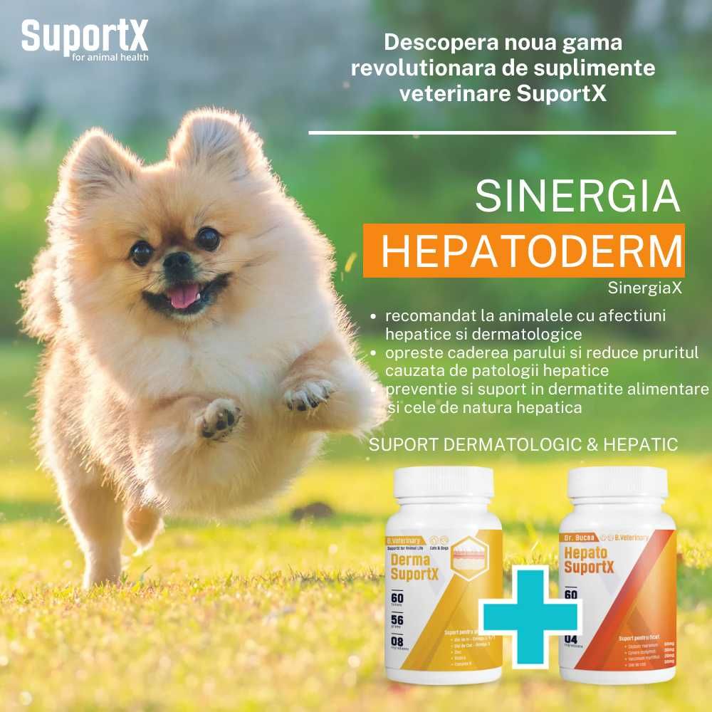 Derma SuportX supliment veterinar dermatologic pentru caini si pisici