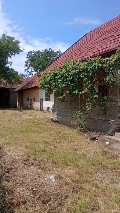 Vând casa la Harseni, Brașov