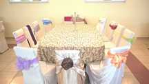 Esarfe huse fete