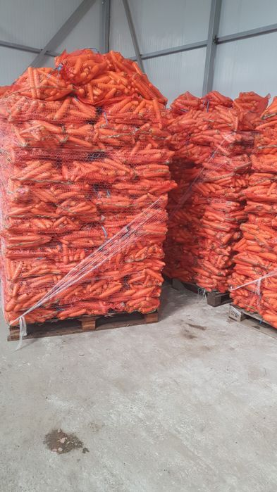 Vand morcovi spalati si nespalati