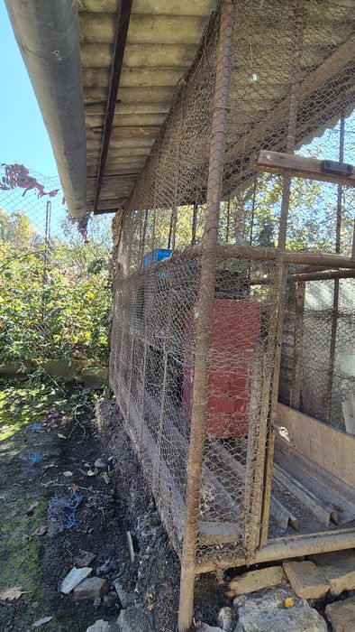 Vănd Costei din metal pentru  porumb