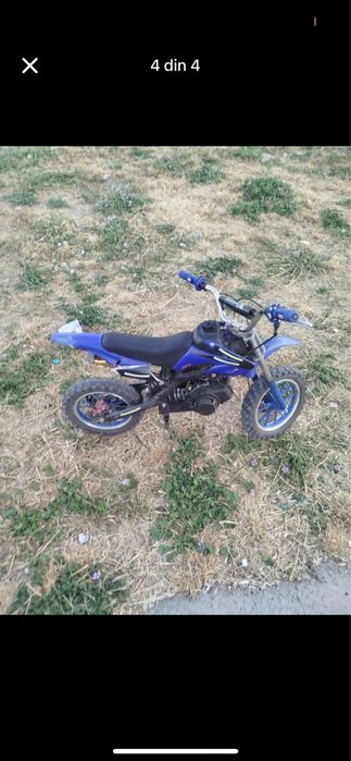 Vand sau shimb cross