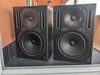 Тонколони Behringer TRUTH B2030A
