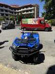 ATV Kawasaki Brute Force