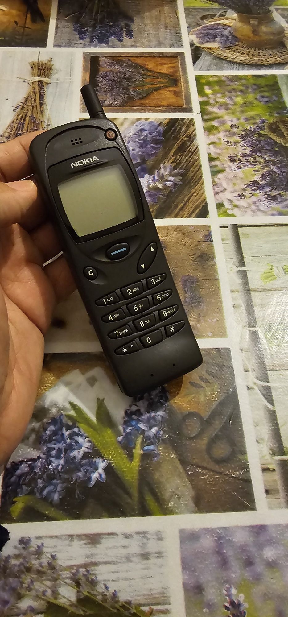 Nokia 3110 vintigi de colecție arata foarte bine