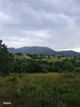 Teren Excepțional în Viisoara – Priveliște Panoramică