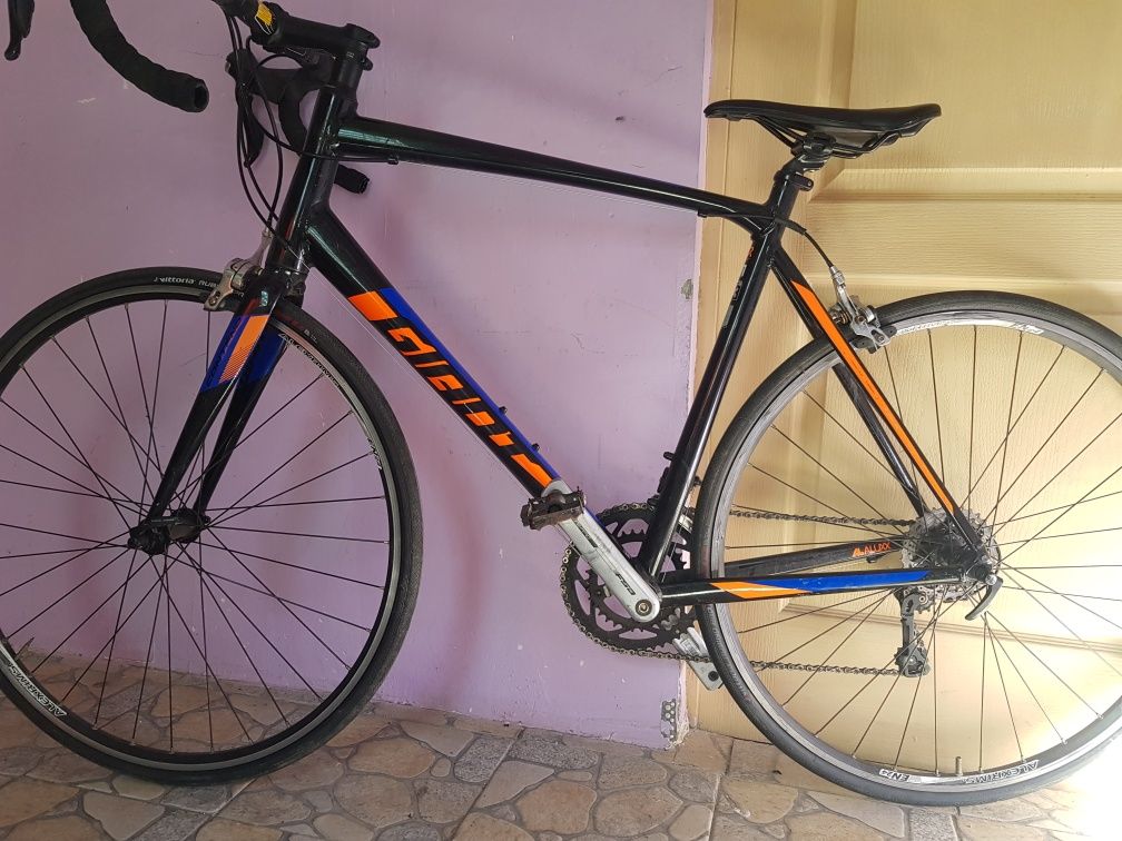 Cursiera Giant 2x11 speed