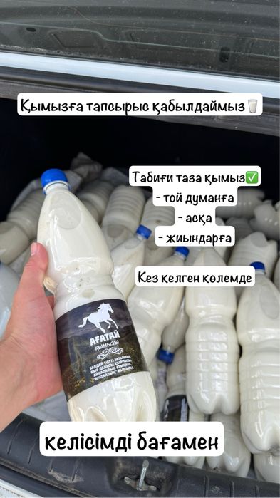 Табиғи таза, бал қымыз. Кымыз-кумыс