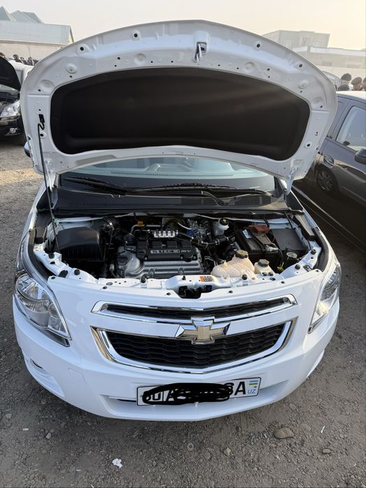 Кобалт 2023 ок.