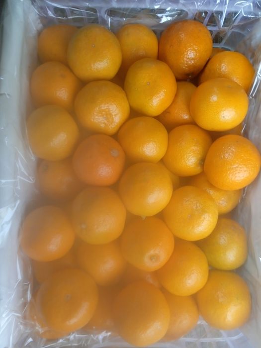 Овощи, фрукты по низким ценам.помидор и т.д.