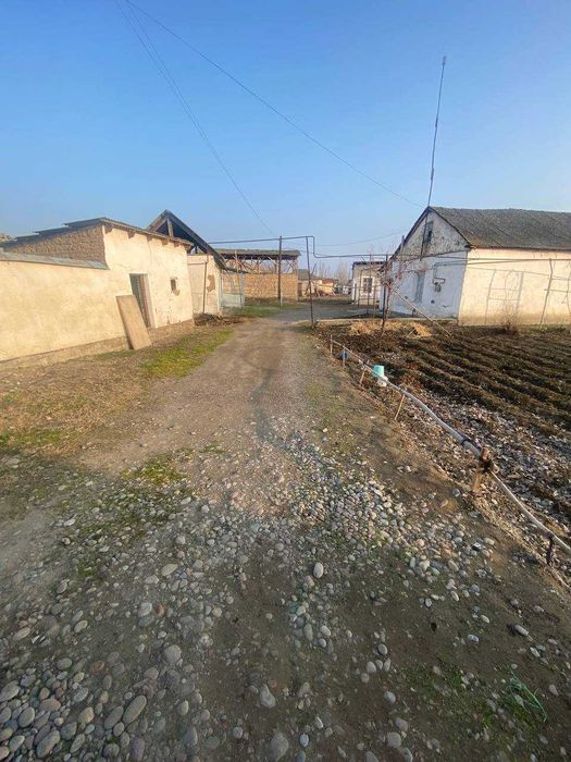 Куйи Чирчикда 20 соток ер майдони сотиляпти.