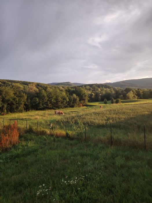 Ofer cazare în Cacica