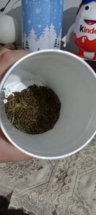 Vand Broasca testoasa (cu accesorii)