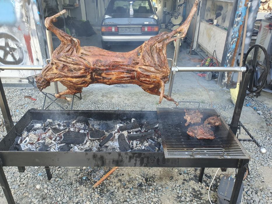 Rotisor proțap electric