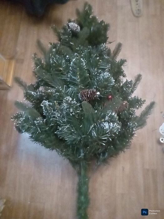 Внимание! Пушистая Ёлка ель сосна за 3000. Шок цена