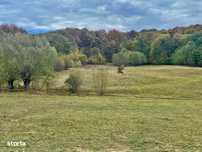 Teren la padure, panoramic dealuri si paduri, curent si asfalt