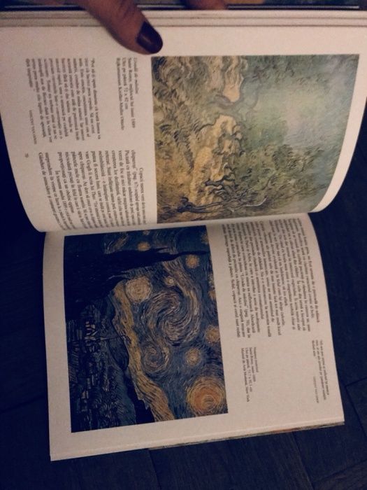 van gogh taschen ingo f walthe