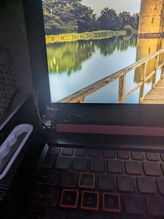 Acer nitro 5 balama defecta