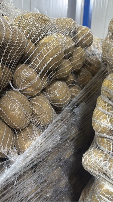 Cartofi origine Franta