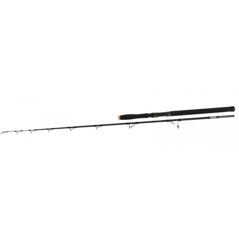 Въдица за сом, кльонк , силов тролинг - Hercules Catfish 1.98mt 300gr