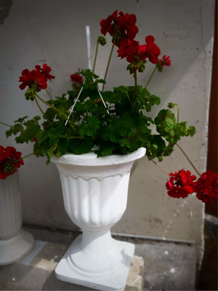 Decoratiuni gradina