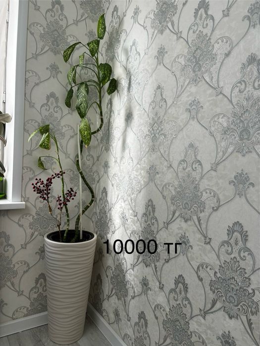 Продам комнатные цветы