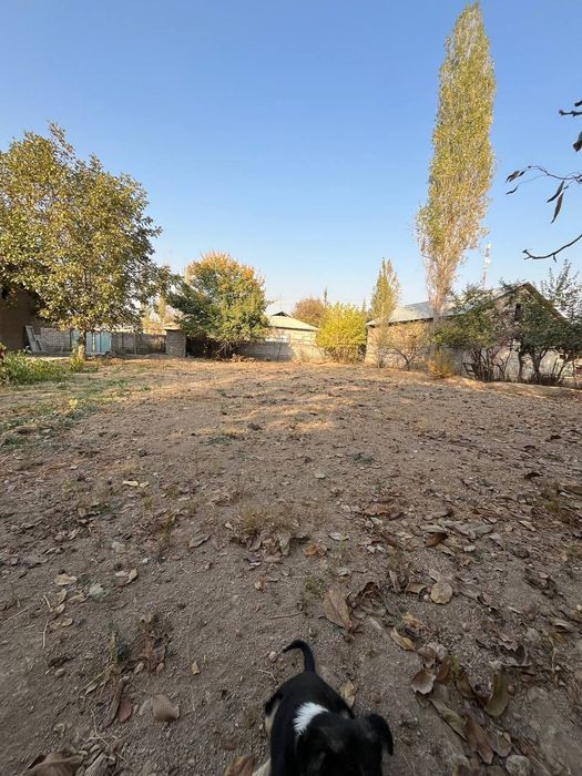 5 сотк ховли сотилади, Тошкент вилояти, Юкори Чирчик тумани, Жамбул