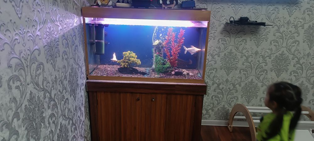 Баликлари сотилади