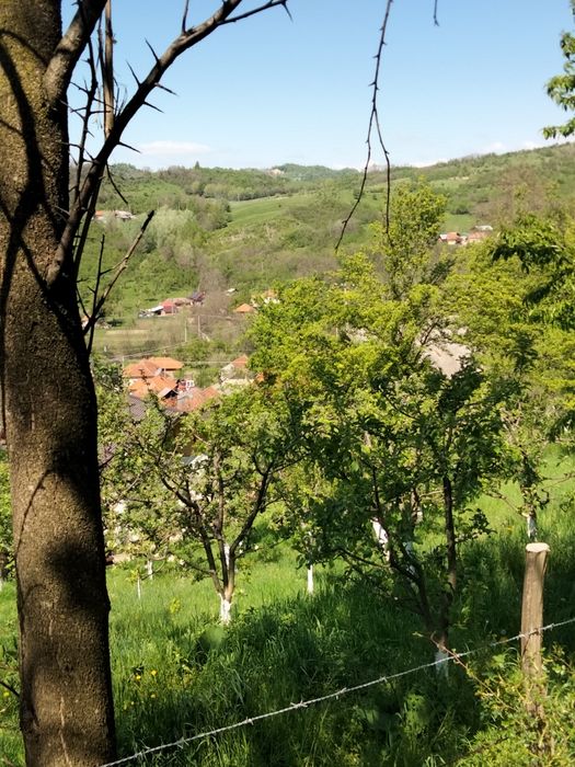 Vând teren intravilan  Boteni Argeș   9000 mp.  4 euro mp