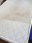 Detailing Auto curatare saltele canapele
