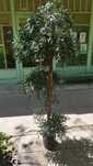 Изкуствени декоративни дървета