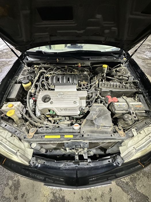 Nissan Maxima Ниссан Максима