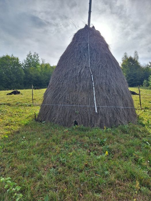 Vând 3 căpițe de fân