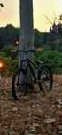Giant stp freeride