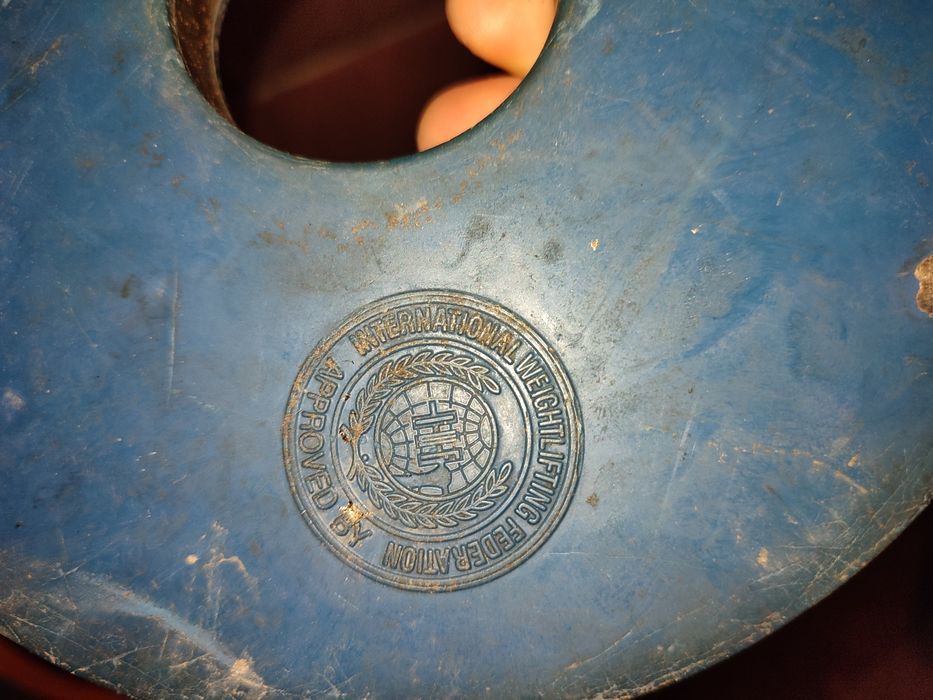 Лост състезателен Полски Елейко Дискове