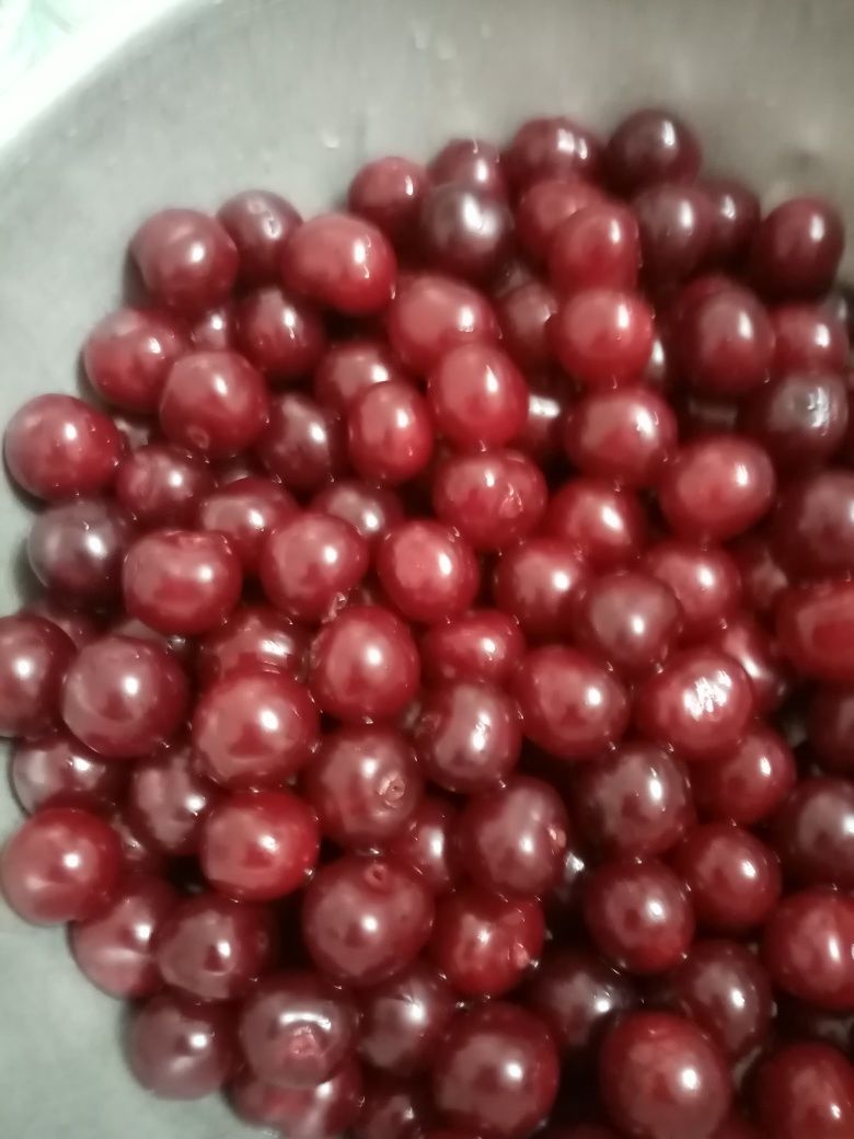 Продам дачную, вишню.