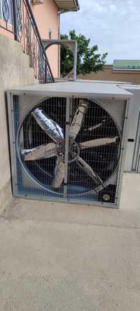 Вытяжной вентилятор для птицефабрик и теплиц