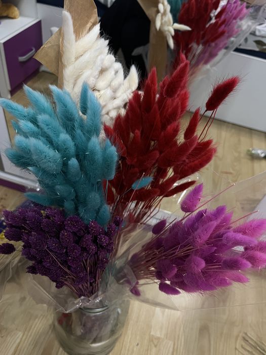 Flori uscate pt aranjamente