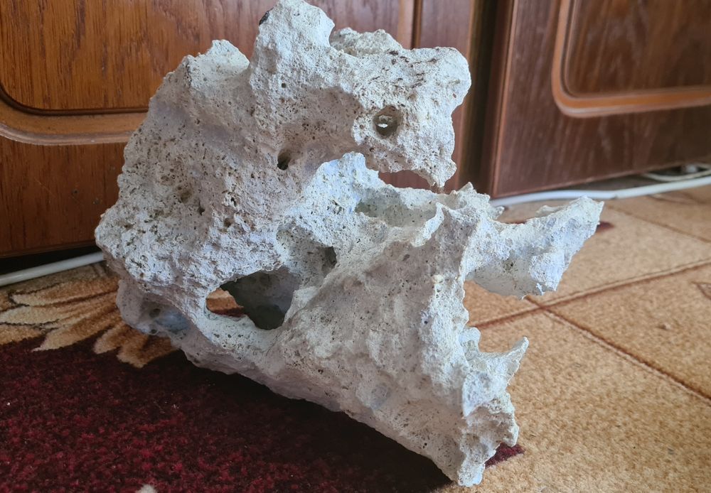 Decoruri acvariu ,ornamente naturale pentru acvariu cu mos prins pe el