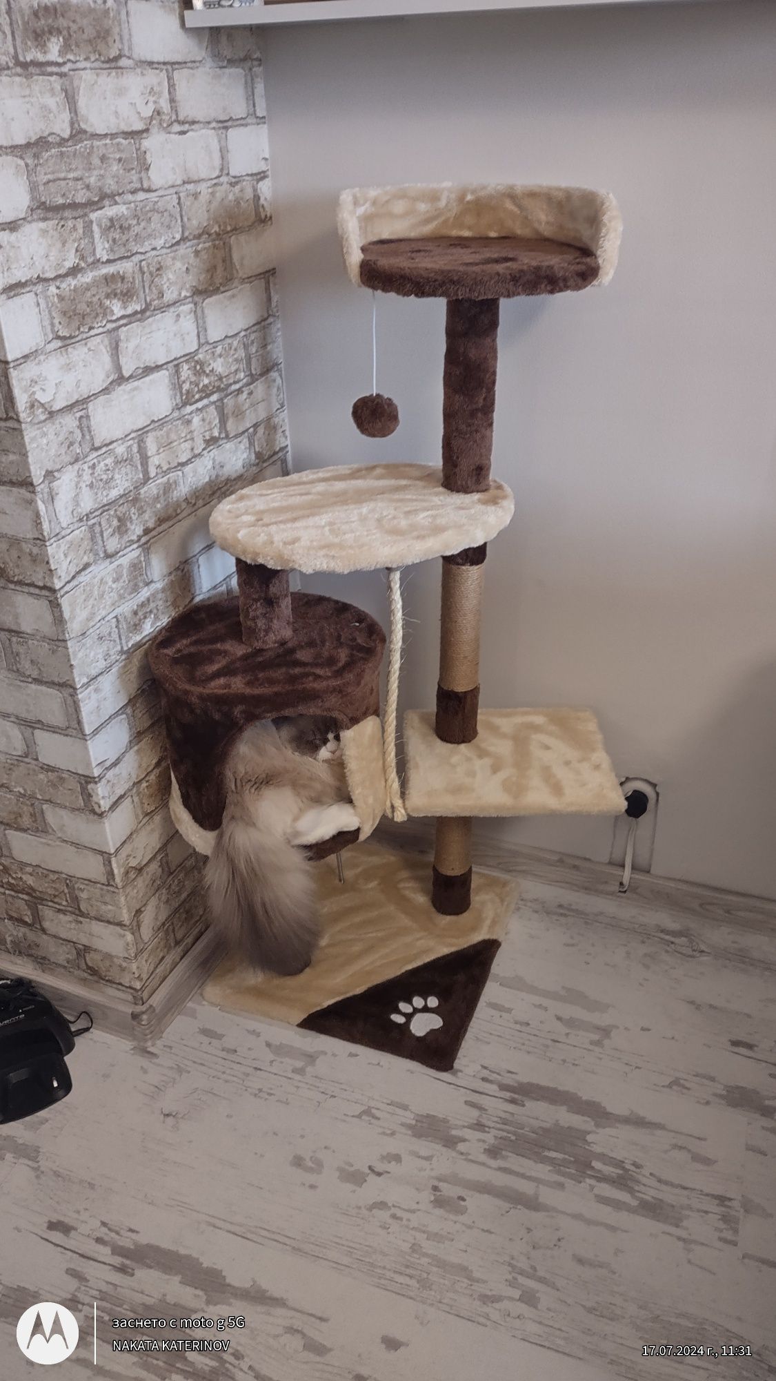 Катерушка за котки!