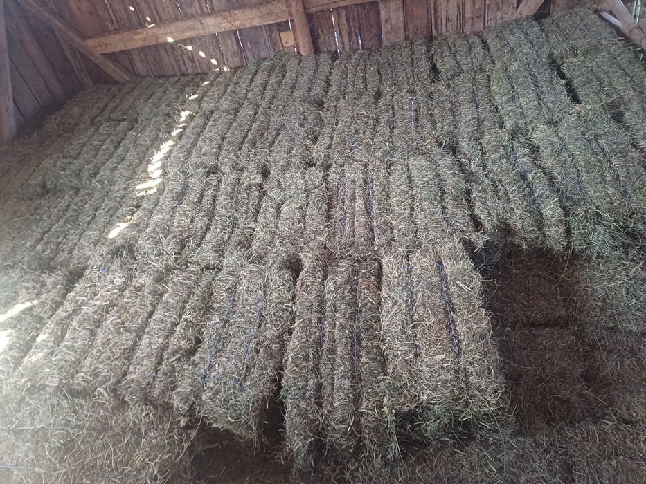 Vind baloti de otava